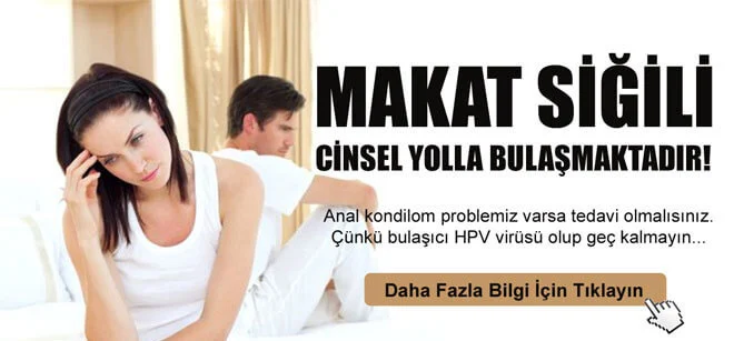 Makat siğili